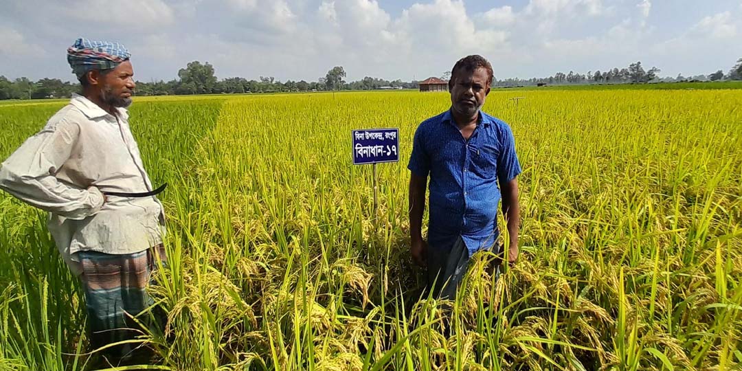 Tishli tayoq bilan jinsiy aloqa